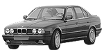 BMW E34 P1030 Fault Code