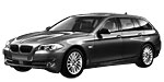BMW F11 P1030 Fault Code